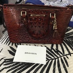 100% Authentic Brahmin mini Asher